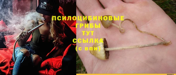 героин Верея