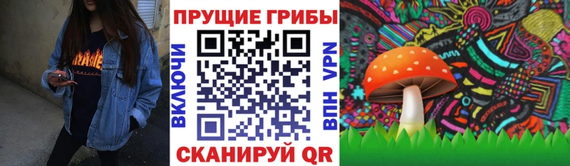 Купить где  Донецк  Псилоцибиновые грибы MAGIC MUSHROOMS 