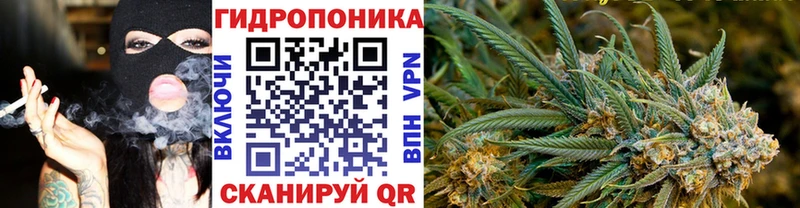 Конопля THC 21%  Купить где  Донецк 